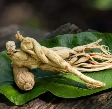 Ginseng roots on a leaf